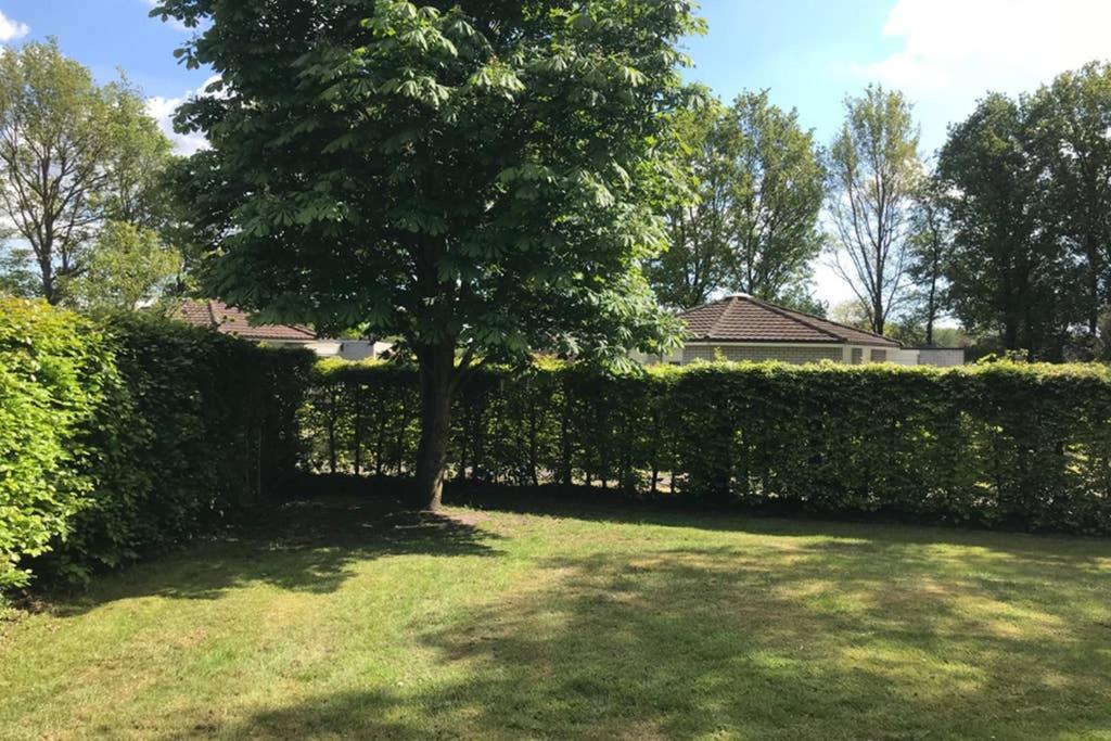Rustig Gelegen Bungalow In Mooi Havelte Luaran gambar